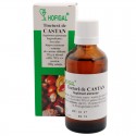 Tinctură de castan - 50 ml-circulatie,articulatii,musculatura