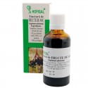 Tinctură de fructe de soc - 50 ml