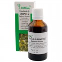 Tinctură de roiniță - 50 ml