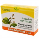 Muguri de arin negru - Gemoderivat (monodoze x 1,5 ml) - circulatie