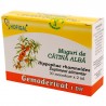 Muguri de catina alba - Gemoderivat