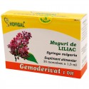 Muguri de liliac - Gemoderivat (monodoze x 1,5 ml)