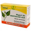 Muguri de mesteacan alb - Gemoderivat (monodoze x 1,5 ml)