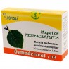 Muguri de mesteacan pufos - Gemoderivat (monodoze x 1,5 ml)