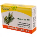 Muguri de pin - Gemoderivat (monodoze x 1,5 ml)
