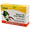Muguri de plop negru - Gemoderivat (monodoze x 1,5 ml)