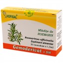 Mlădițe de  rozmarin - Gemoderivat (monodoze x 1,5 ml)