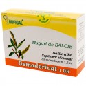 Muguri de salcie -Gemoderivat (monodoze x 1,5 ml)