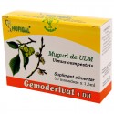 Muguri de ulm - Gemoderivat (monodoze x 1,5 ml) - piele,glande sebacee