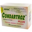 Condartroz Plus 60 compr. - pastreaza sanatatea articulatiilor