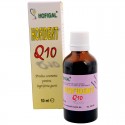 Hofident Q10 - produs cosmetic pentru îngrijirea gurii