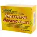 Protector hepatic forte protejeaza si regenereaza celulele hepatice