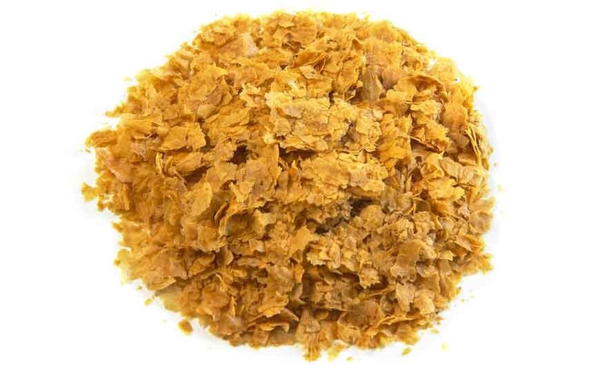Drojdia de bere